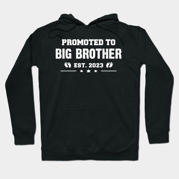 Finally Promoted To Big Brother 2023 Hoodie by cloutmantahnee